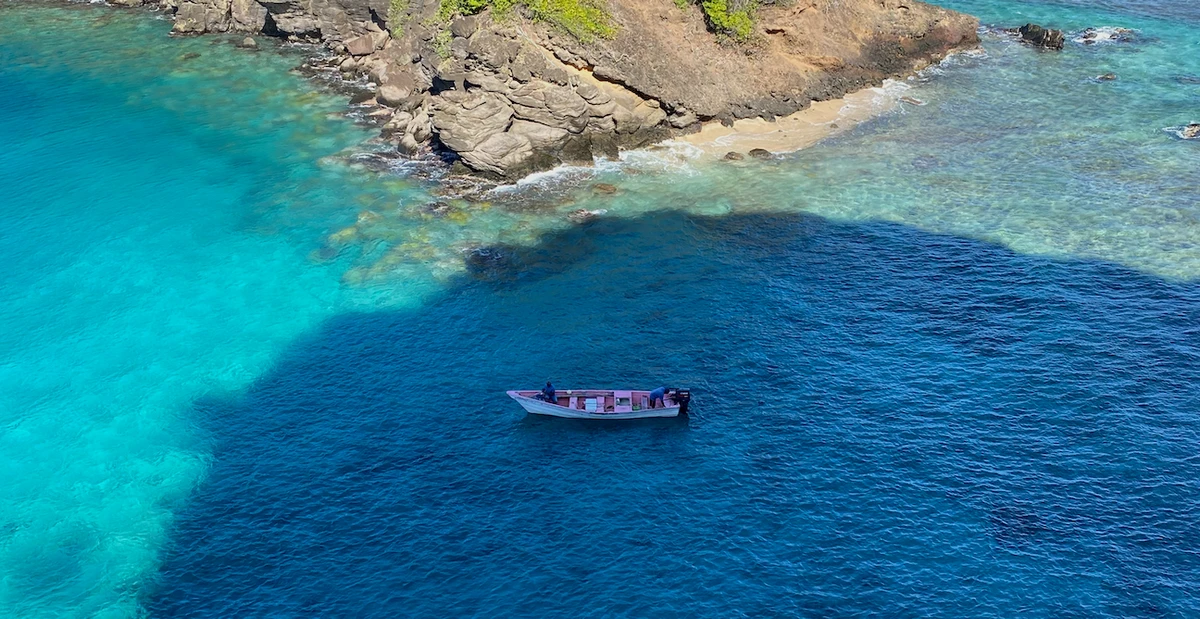 From $12,000 to $40: How Serverless Slashed Our AWS Hosting Costs by 99.7%